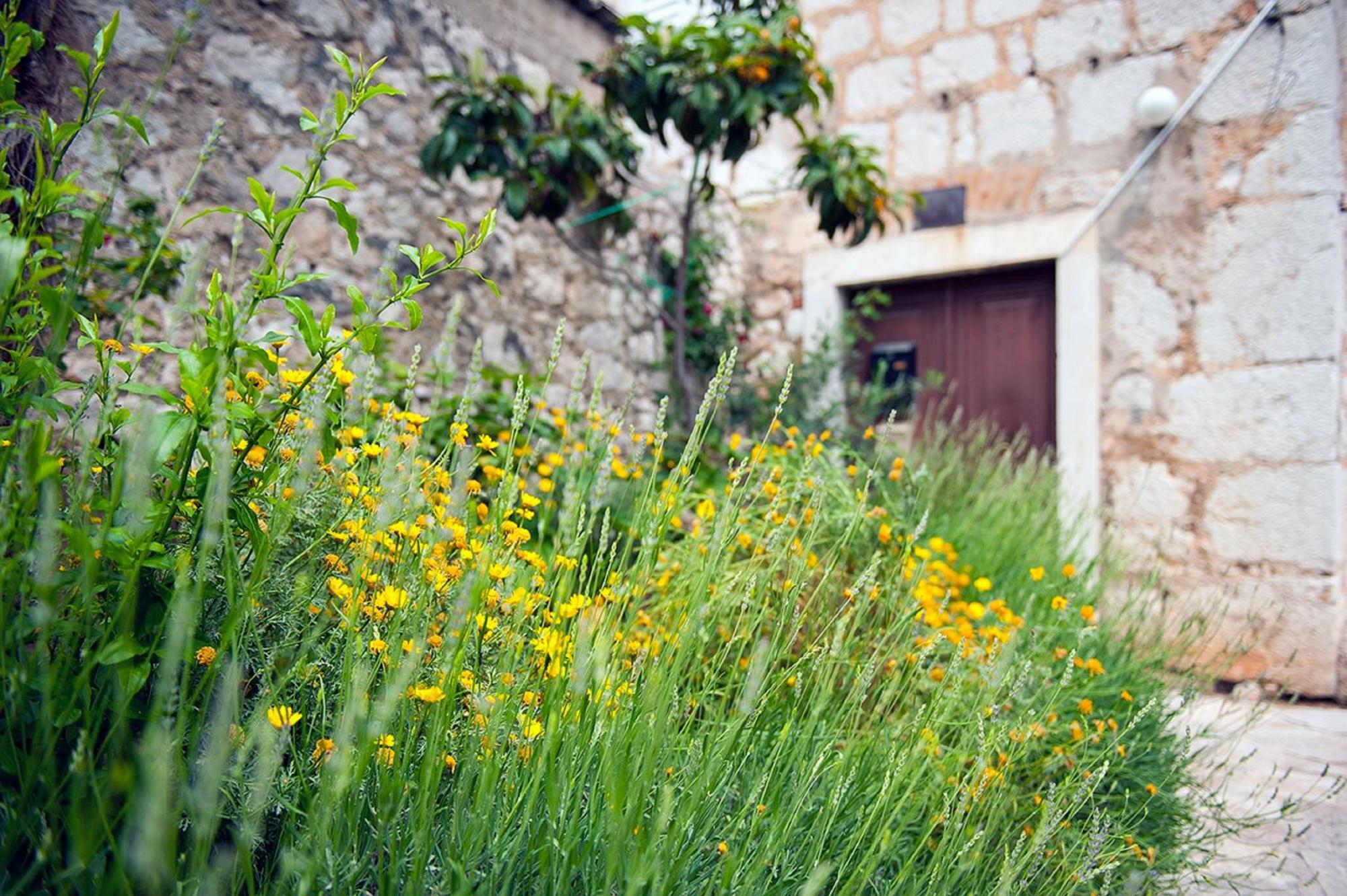 Dalmatian Garden - Free Parking - City Centre Šibenik Extérieur photo