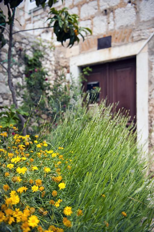 Dalmatian Garden - Free Parking - City Centre Šibenik Chambre photo